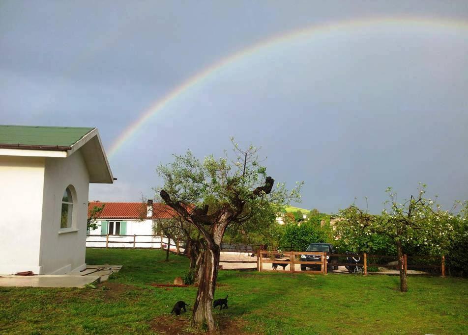 Gli Olivi Acomodação com café da manhã Formello Exterior foto
